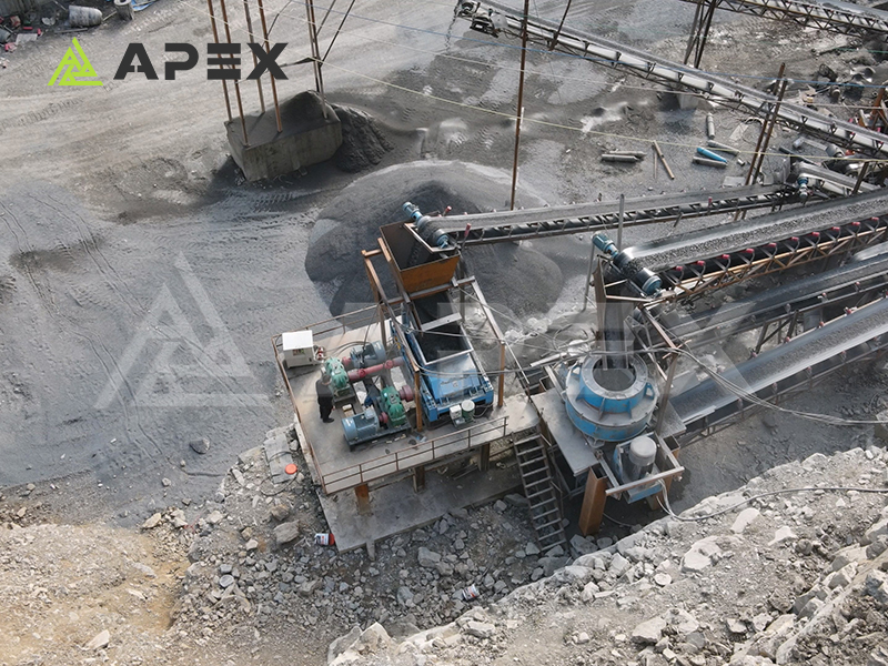 Coal gangue double tooth roll crusher production site Coal gangue double tooth roll crusher production site
